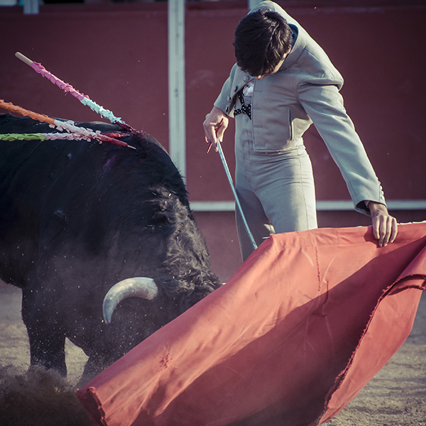 Bares para ver corridas taurinas en Salamanca
